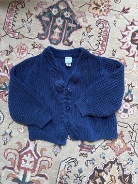 Hanna Andersson Blue Chunky Knit Button-Up Cardigan